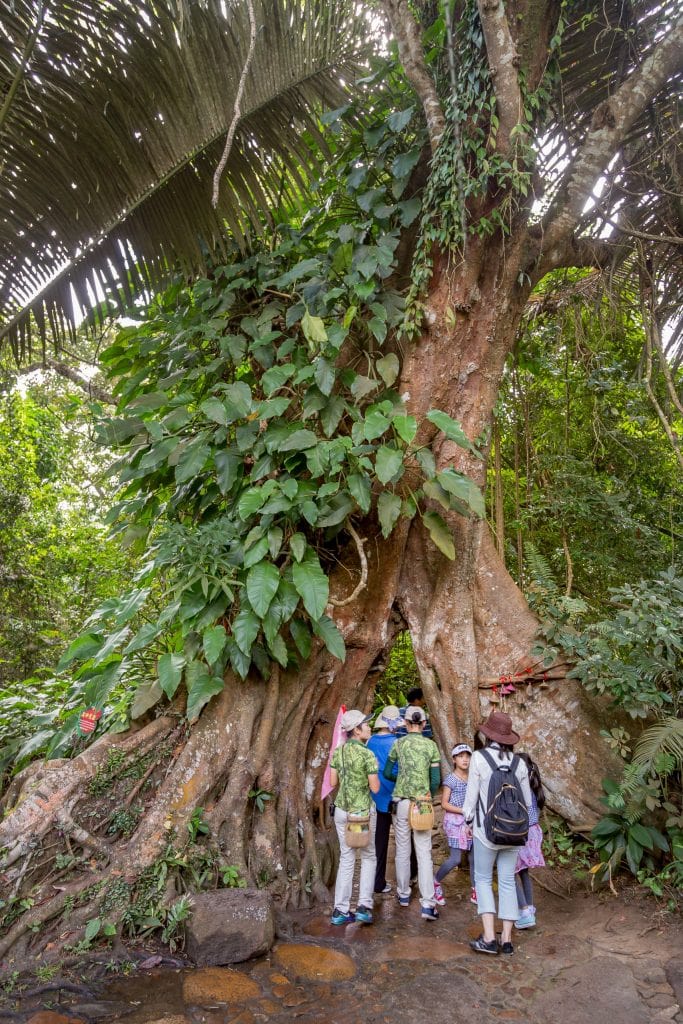 People Walking through a Tree - CHINA - Yanoda and Binglanggu Li & Miao: 2 must see parks near Sanya