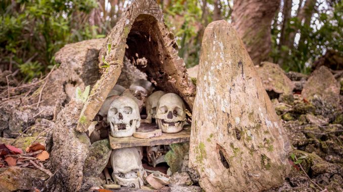 Skull altar - SOLOMON ISLANDS - Skull Island Munda & New Georgia WWII history day trip Skull altar - SOLOMON ISLANDS - Skull Island Munda & New Georgia WWII history day trip