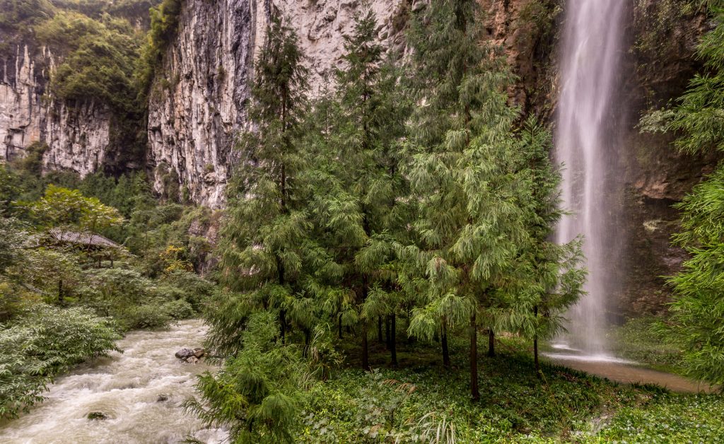 Waterfall behind trees Three Natural Bridges - CHINA – Wulong Karst National Park day trip from Chongqing