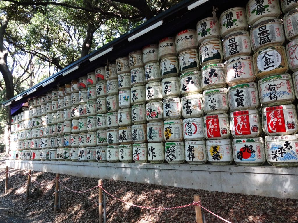 JAPAN - A day in West Tokyo: Skyscrapers & temples