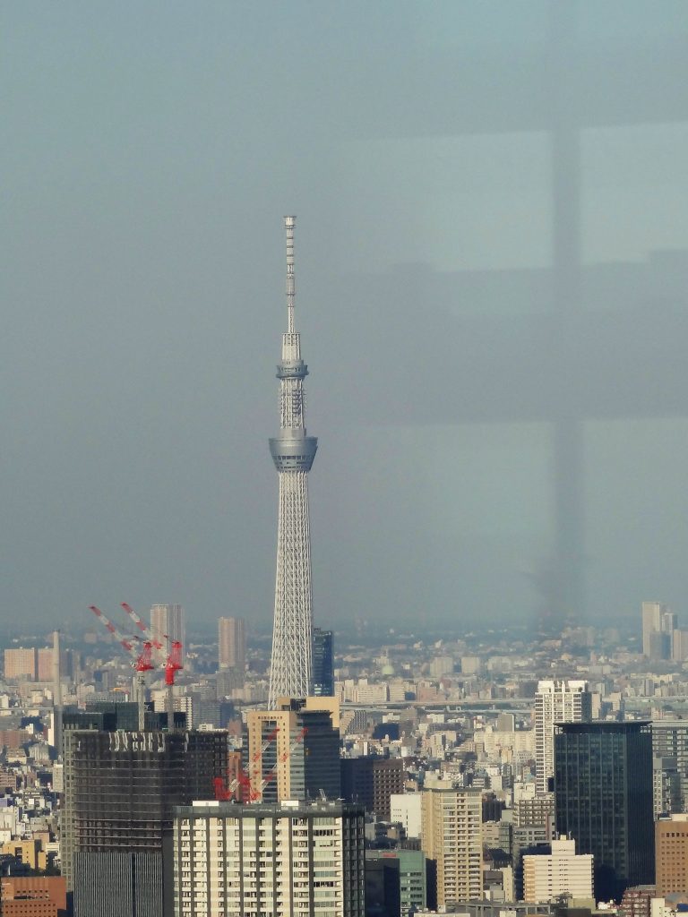 JAPAN - A day in West Tokyo: Skyscrapers & temples