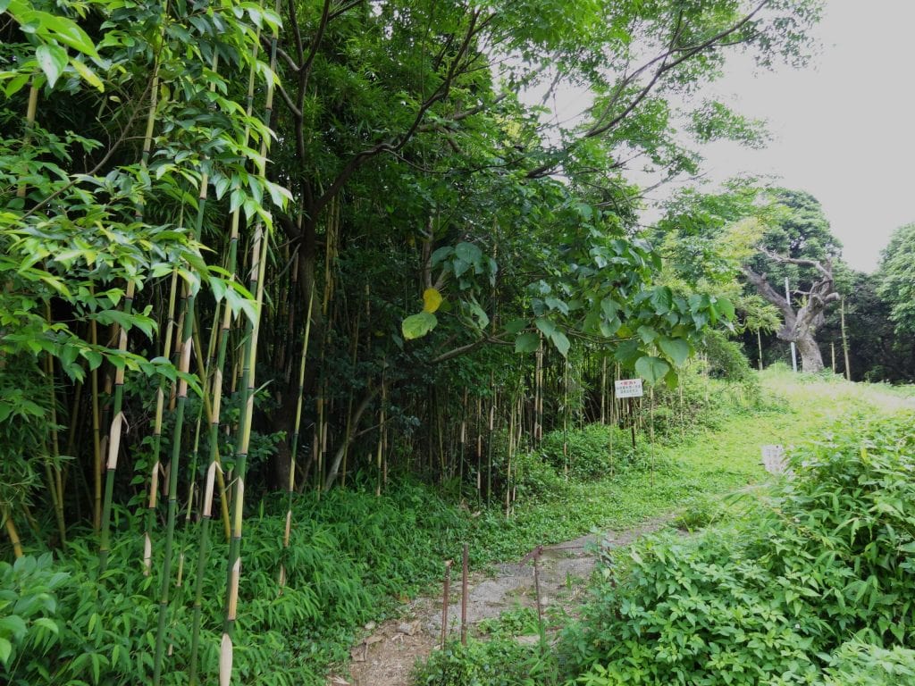 HONG KONG - Two Hong Kong heritage trails in the North Territories