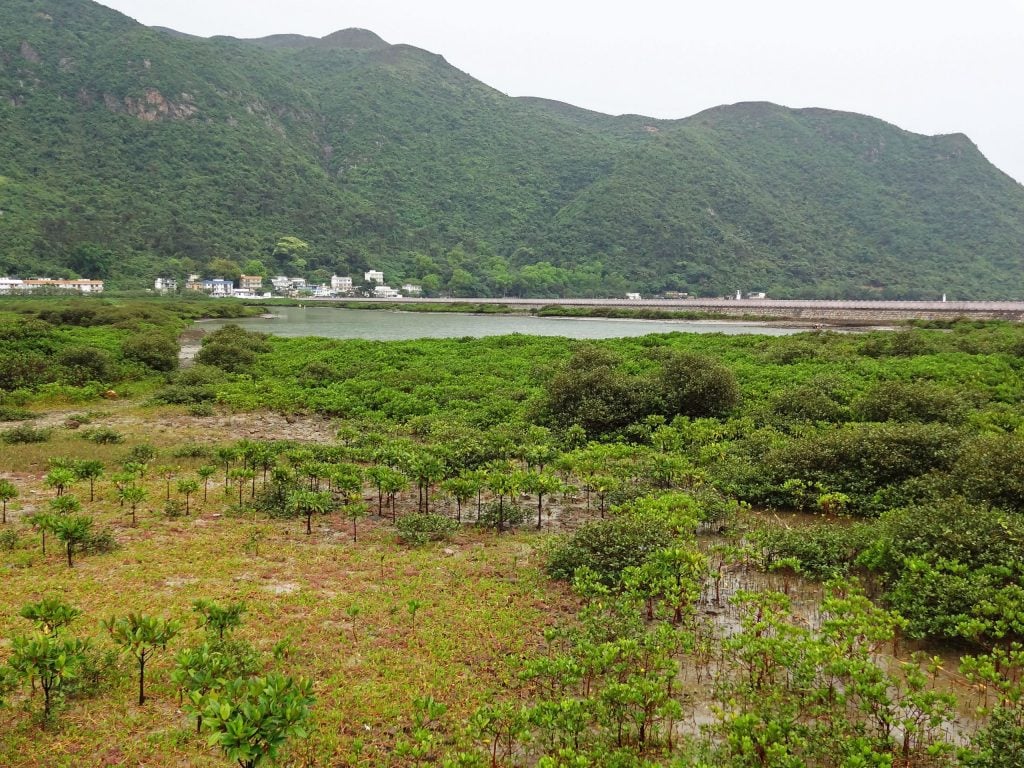 HONG KONG - 5 fun & cultural things to do on Lantau Island