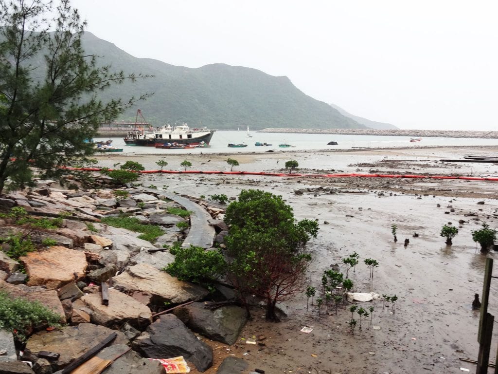 HONG KONG - 5 fun & cultural things to do on Lantau Island