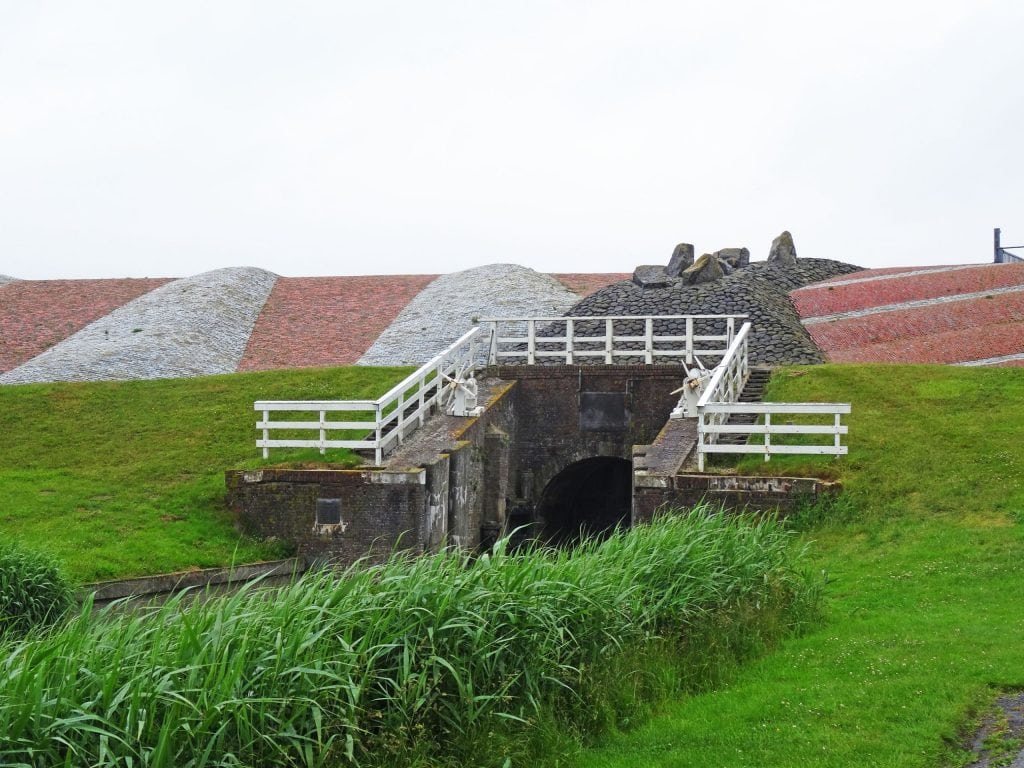 NETHERLANDS - Seals in need and lots of dirty fun at the Waddenzee near Lauwersmeer
