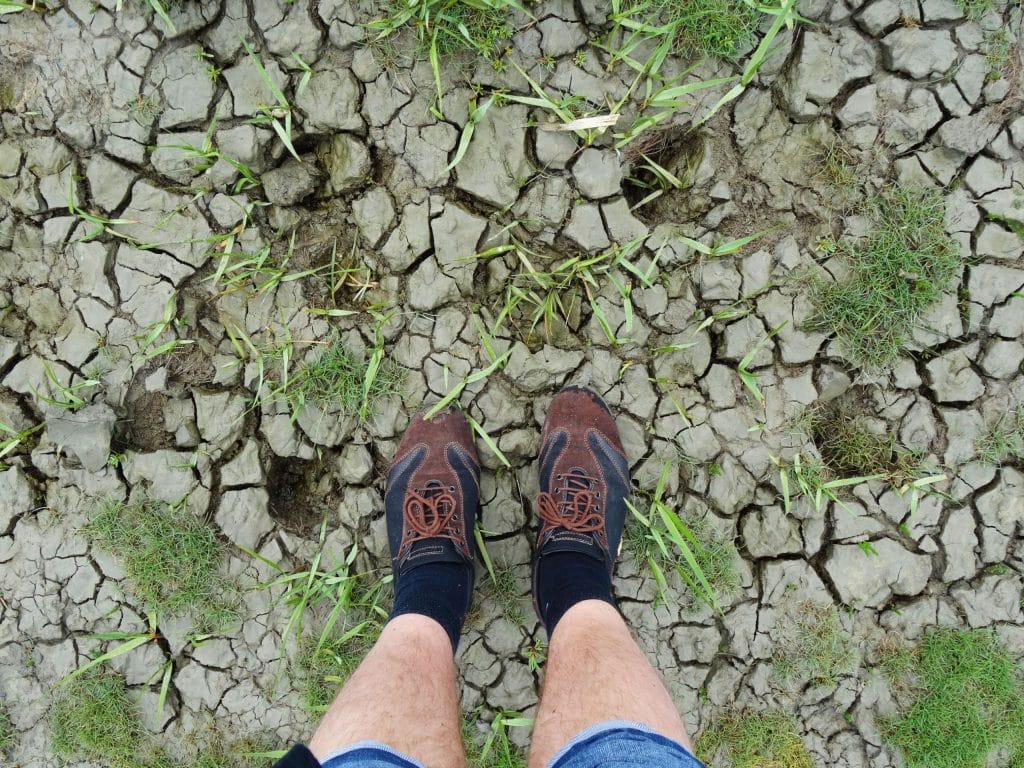 NETHERLANDS - Seals in need and lots of dirty fun at the Waddenzee near Lauwersmeer