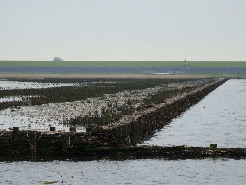 NETHERLANDS - Seals in need and lots of dirty fun at the Waddenzee near Lauwersmeer