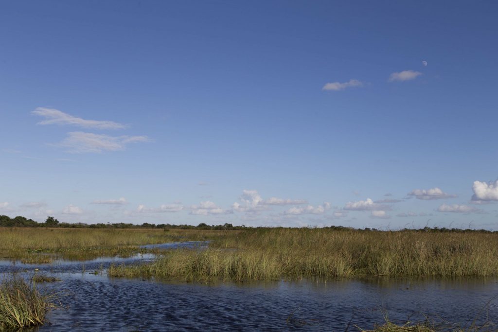 USA - Exploring the Everglades Shark Valley wildlife by bike & air boat