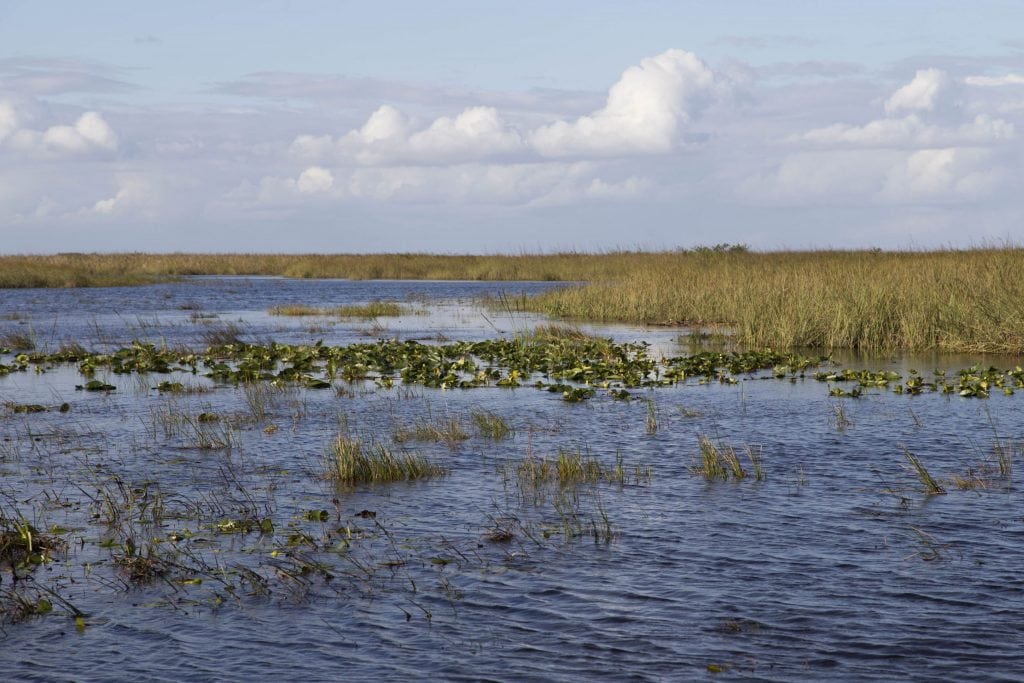 USA - Exploring the Everglades Shark Valley wildlife by bike & air boat