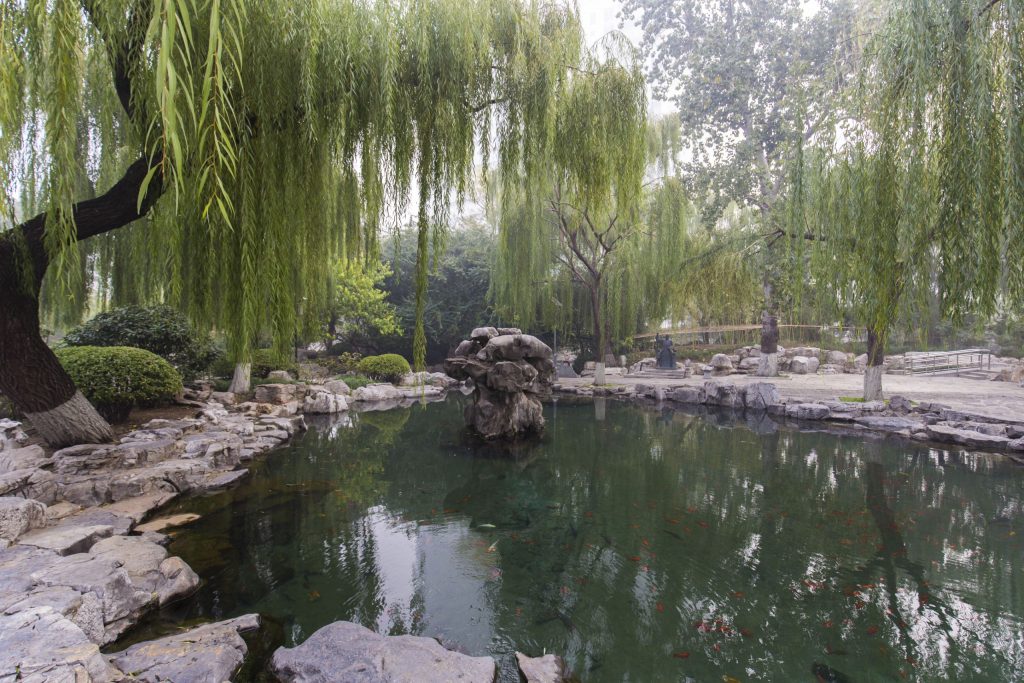 CHINA - Two nights in Jinan: City of Springs