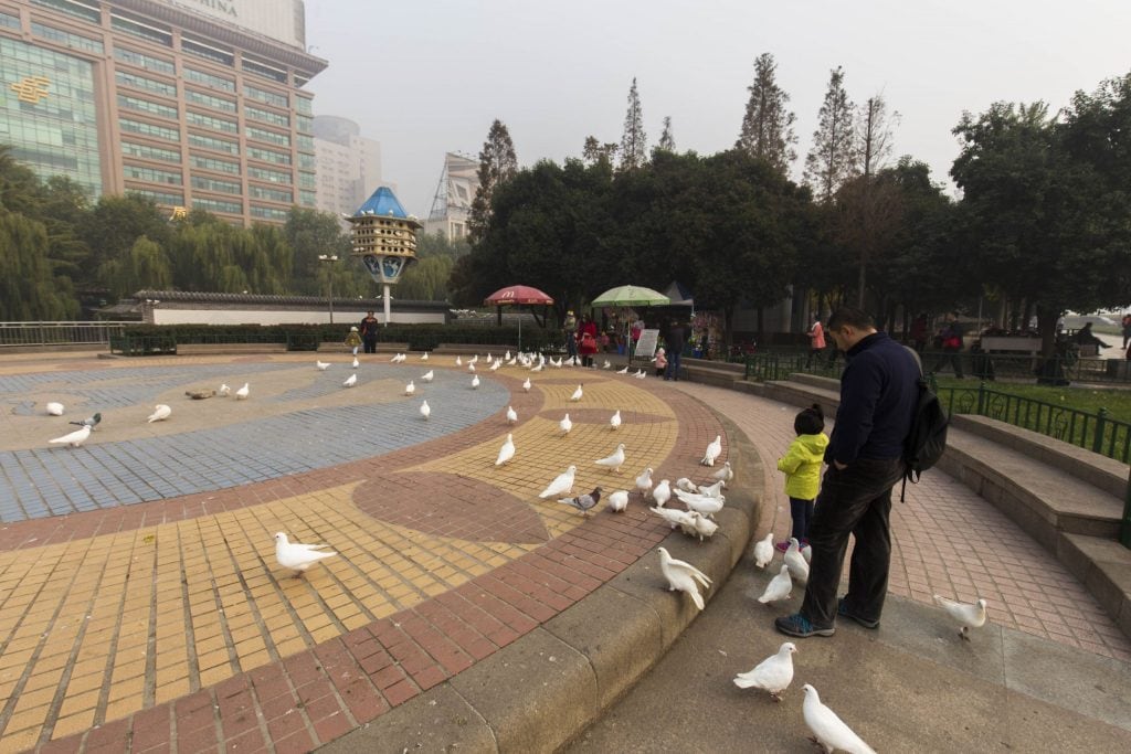 CHINA - Two nights in Jinan: City of Springs