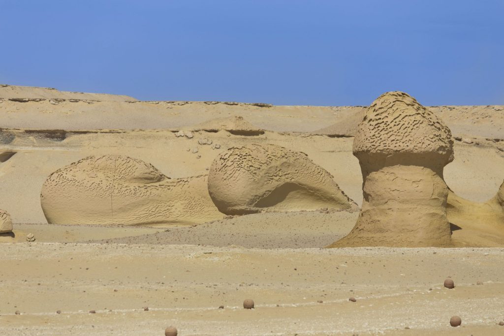 EGYPT – A walk through million years of history at Wadi Al-Hitan Whale Valley