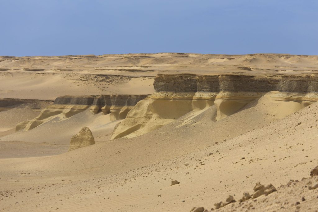 EGYPT – A walk through million years of history at Wadi Al-Hitan Whale Valley