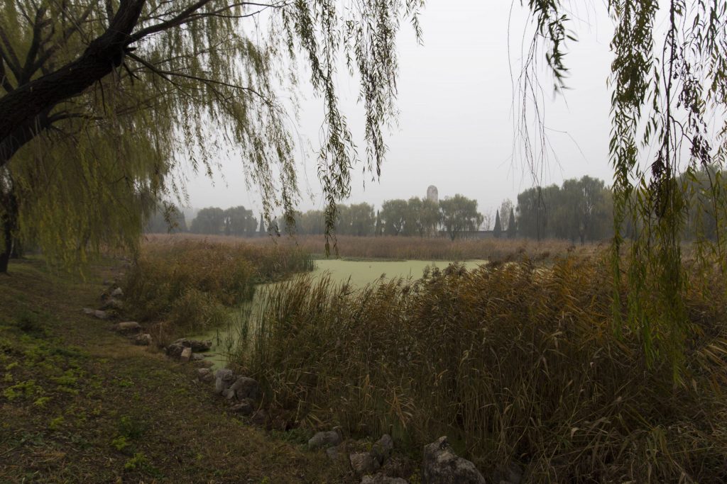 CHINA - A day in the footsteps of Confucius & the Yellow Emperor near Qufu