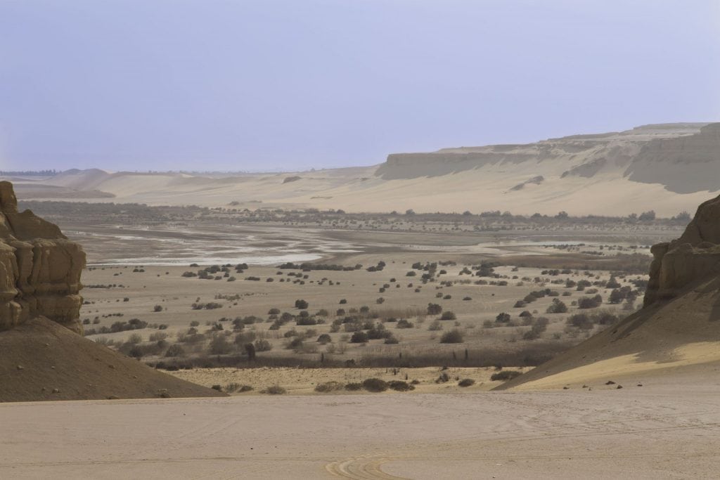 EGYPT – A walk through million years of history at Wadi Al-Hitan Whale Valley