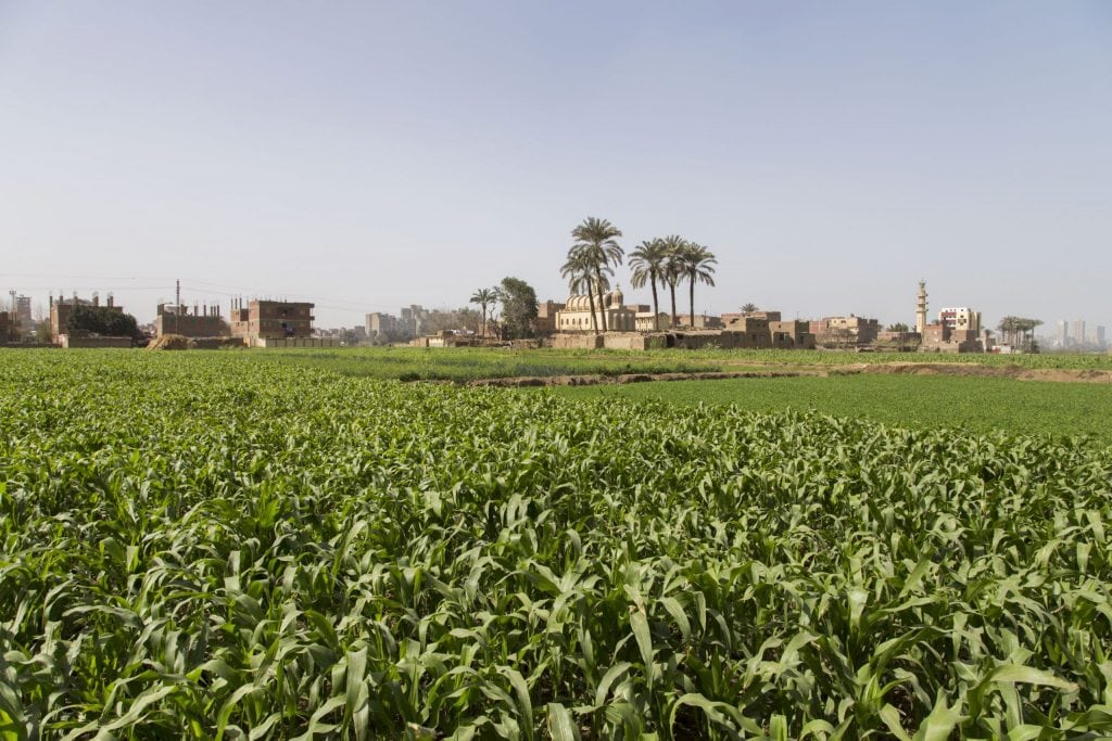 EGYPT - The other side: Cairo Garbage City, Cave Church, Dahab's Nile Island