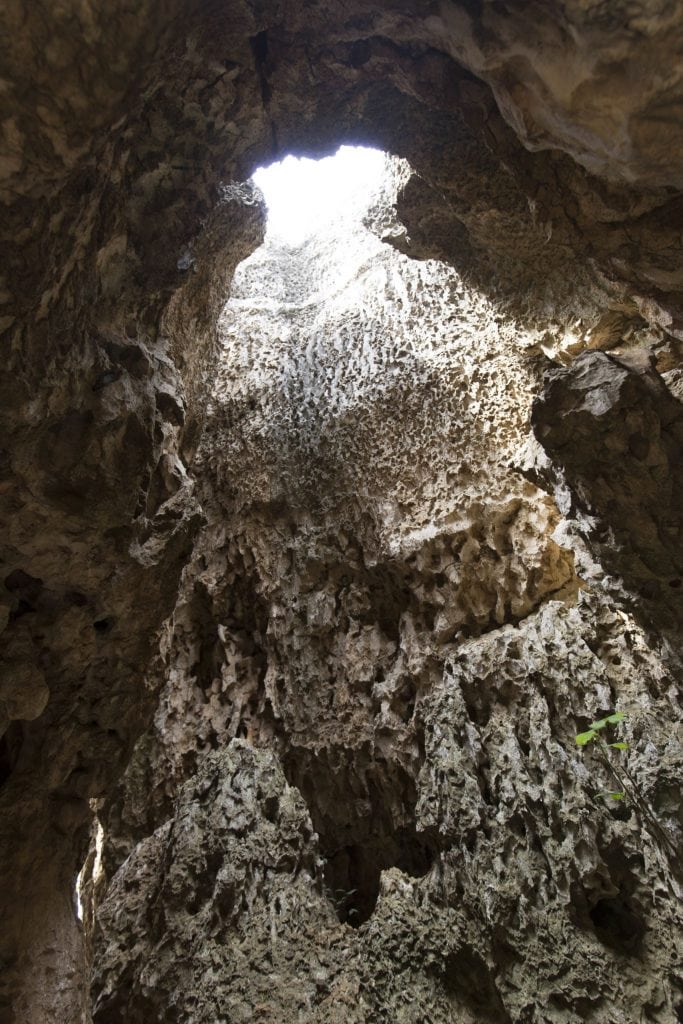 CHINA – A day trip from Kunming to the surrealistic Shilin Stone Forest karst landscape
