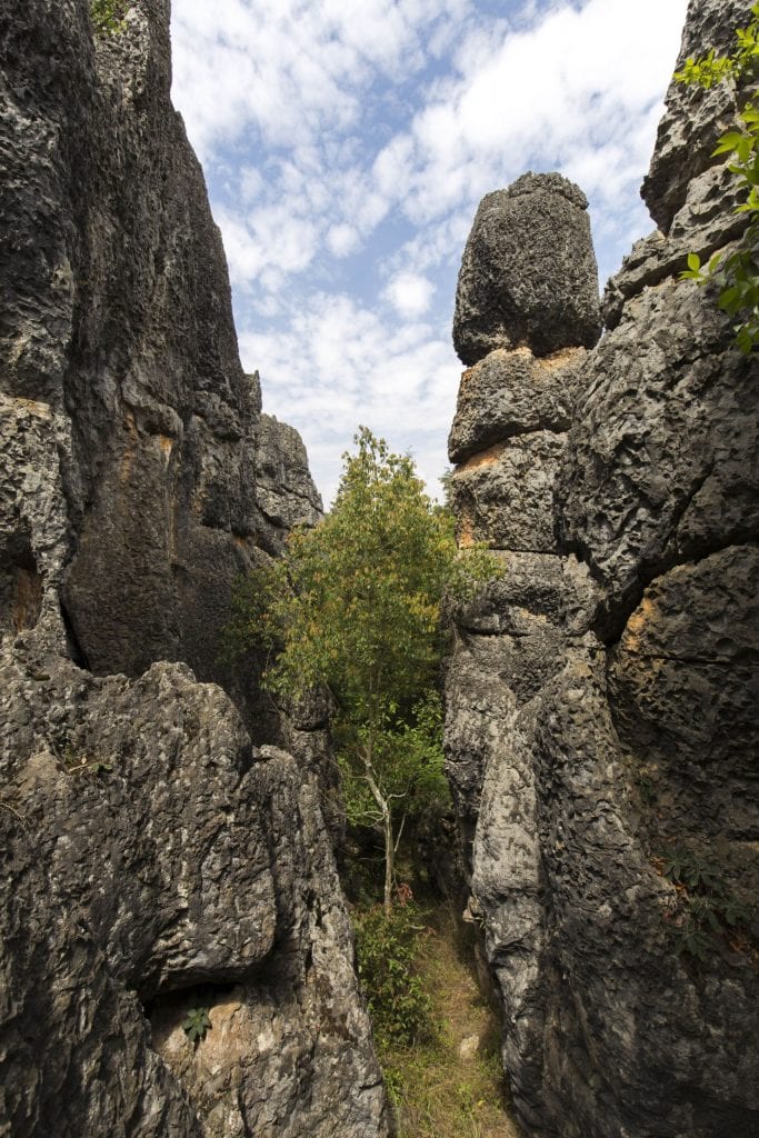 CHINA – A day trip from Kunming to the surrealistic Shilin Stone Forest karst landscape