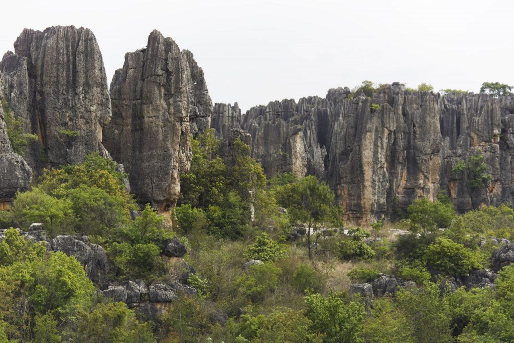 CHINA – A day trip from Kunming to the surrealistic Shilin Stone Forest karst landscape