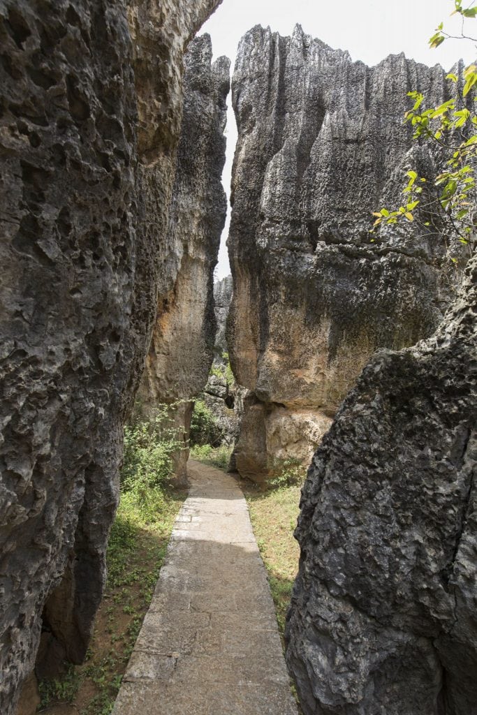 CHINA – A day trip from Kunming to the surrealistic Shilin Stone Forest karst landscape