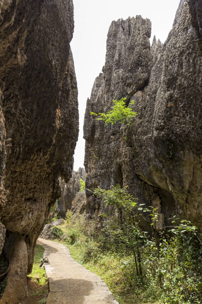 CHINA – A day trip from Kunming to the surrealistic Shilin Stone Forest karst landscape
