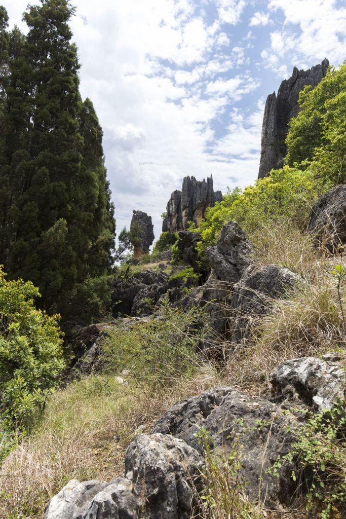 CHINA – A day trip from Kunming to the surrealistic Shilin Stone Forest karst landscape