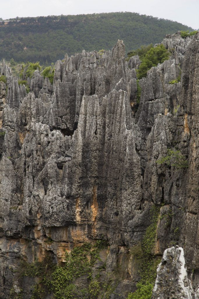 CHINA – A day trip from Kunming to the surrealistic Shilin Stone Forest karst landscape