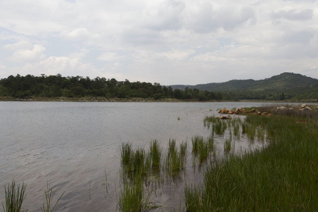 CHINA – A day trip from Kunming to the surrealistic Shilin Stone Forest karst landscape