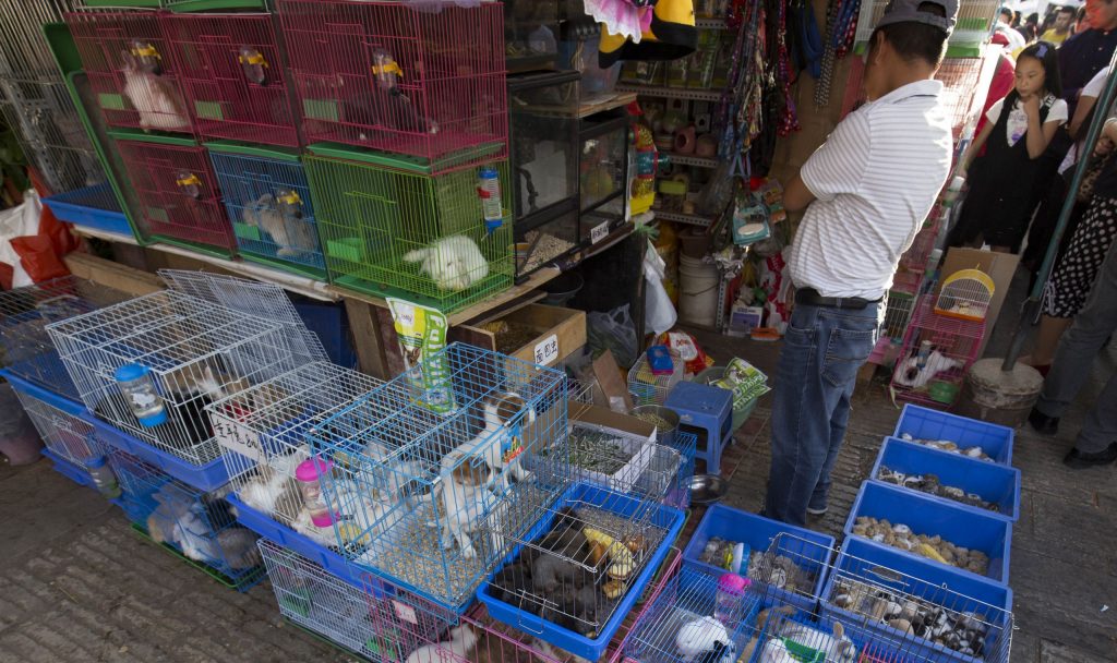 CHINA - A day in Kunming, the City of Eternal Spring
