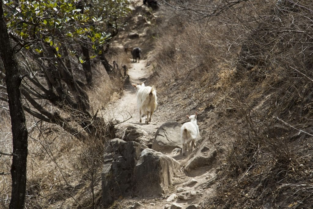 CHINA - A day trip from Lijiang: the Tiger Leaping Gorge Hike