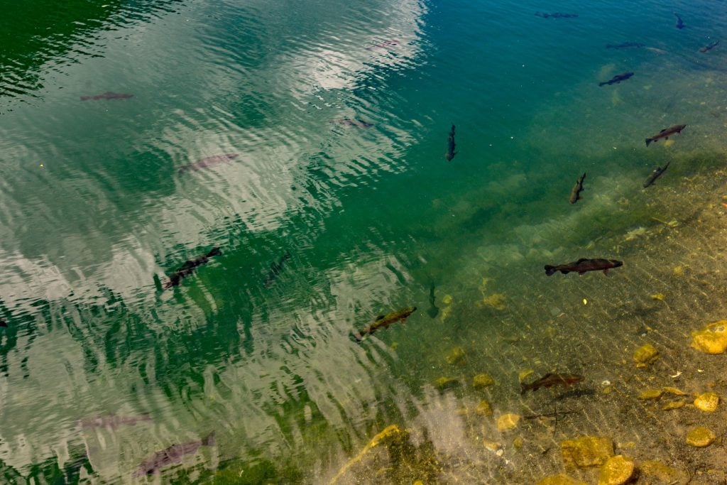 CHINA - Two days in Lijiang old town and outlying small villages