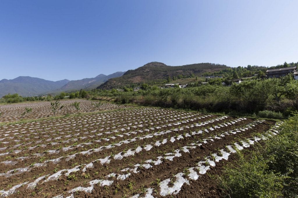 CHINA - Lashi Lake from Lijiang: horseback riding & canoeing