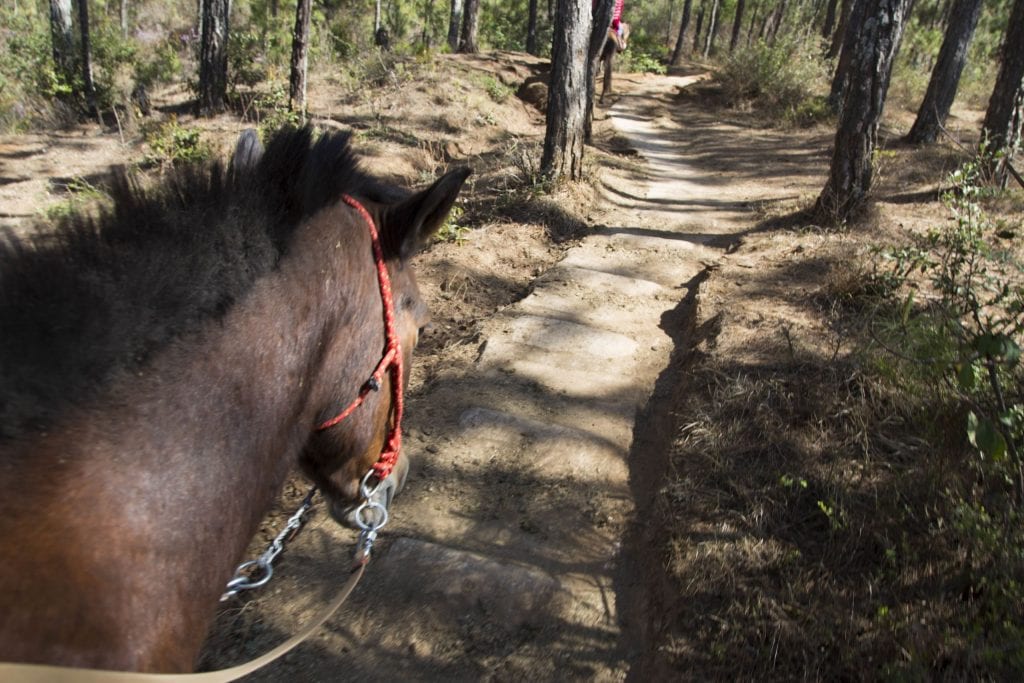 CHINA - Lashi Lake from Lijiang: horseback riding & canoeing