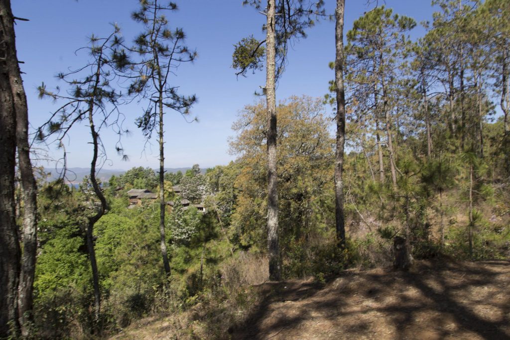 CHINA - Lashi Lake from Lijiang: horseback riding & canoeing