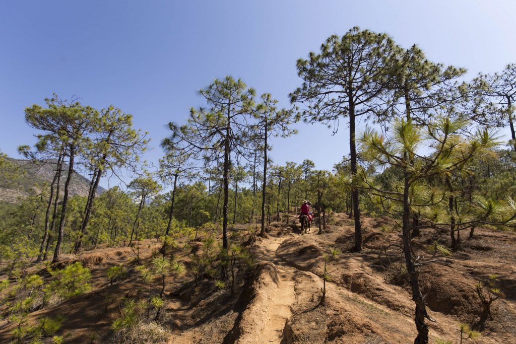 CHINA - Lashi Lake from Lijiang: horseback riding & canoeing