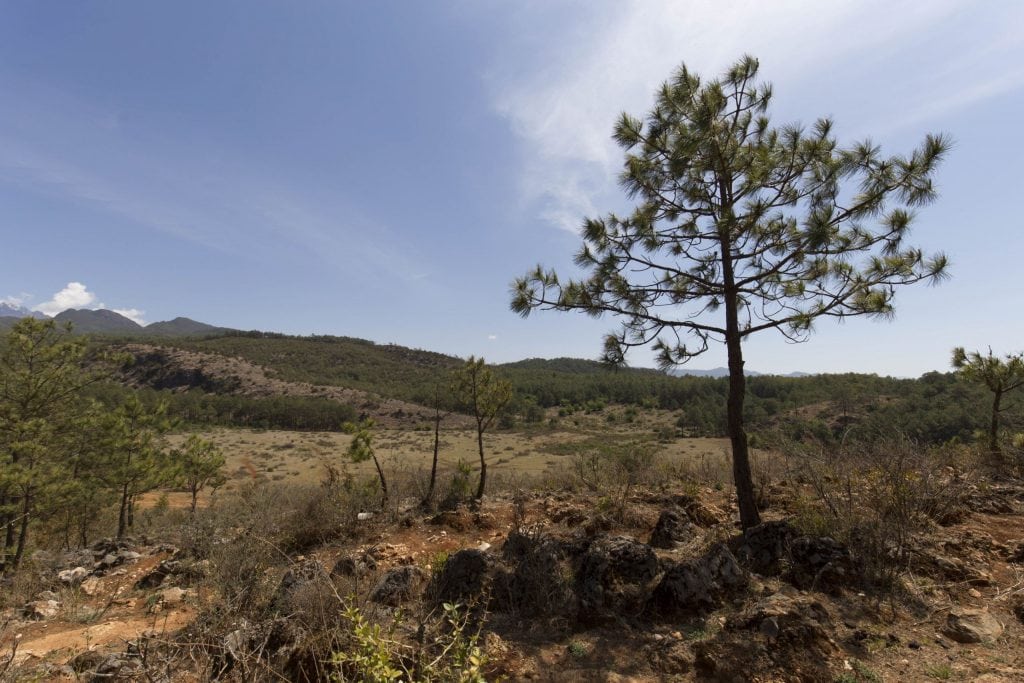 CHINA - Lashi Lake from Lijiang: horseback riding & canoeing