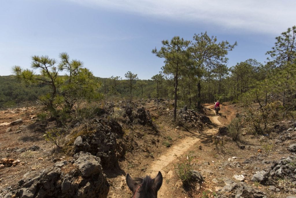 CHINA - Lashi Lake from Lijiang: horseback riding & canoeing