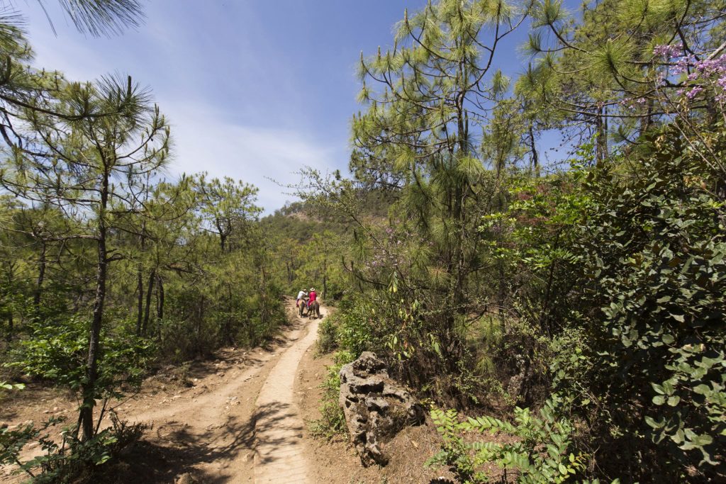 CHINA - Lashi Lake from Lijiang: horseback riding & canoeing