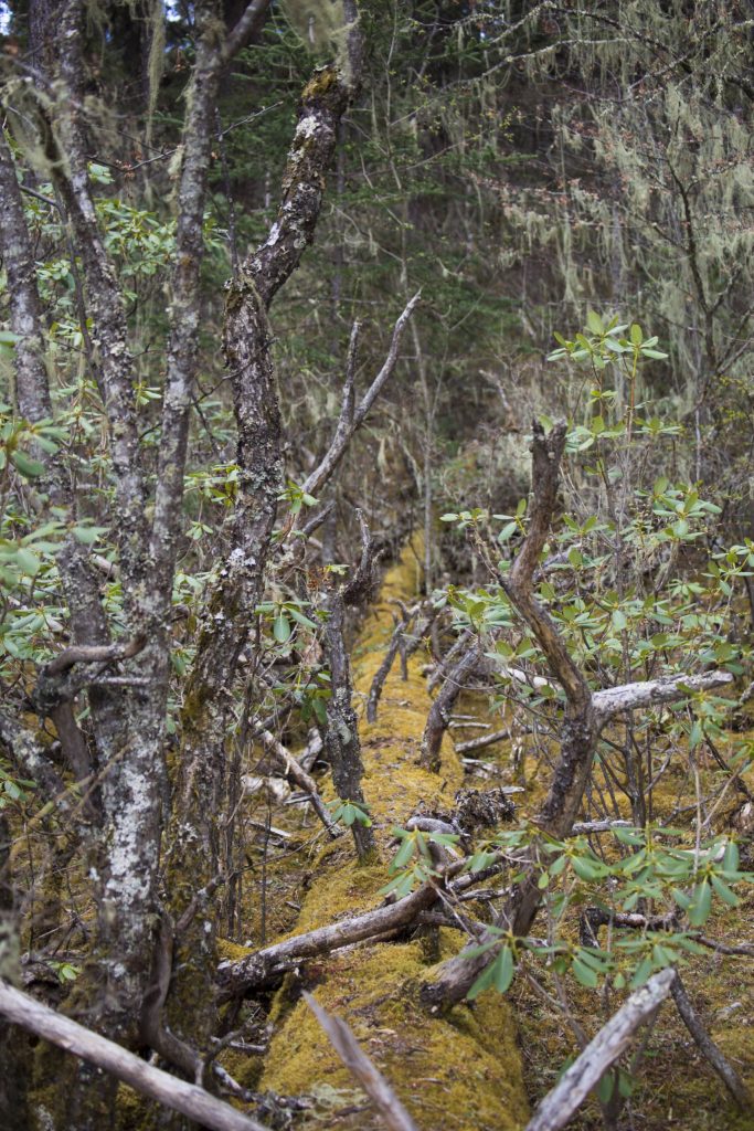 CHINA - A hike through the Potatso national park near Shangri-La
