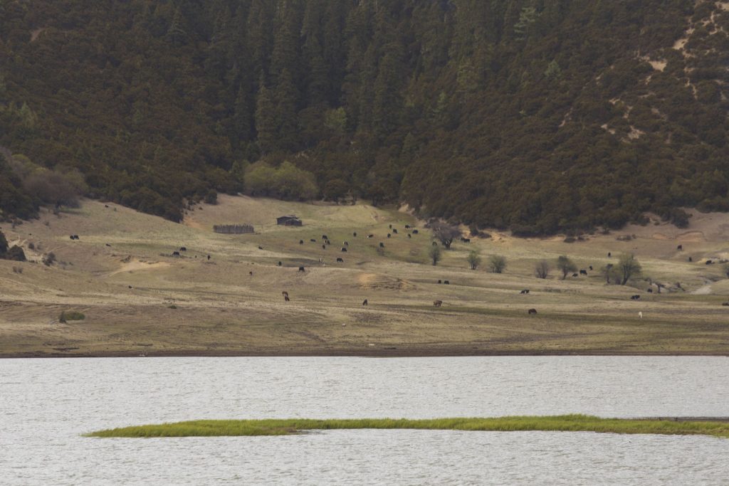 CHINA - A hike through the Potatso national park near Shangri-La