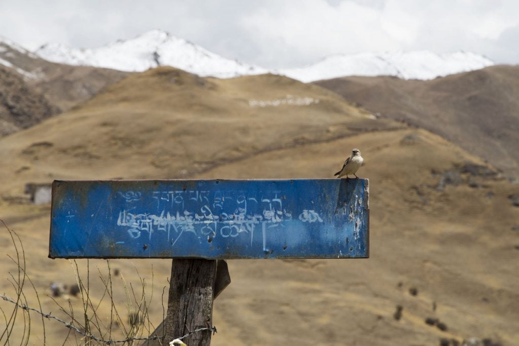 TIBET – A day trip from Lhasa to Ganden Monastery and Drak Yerpa