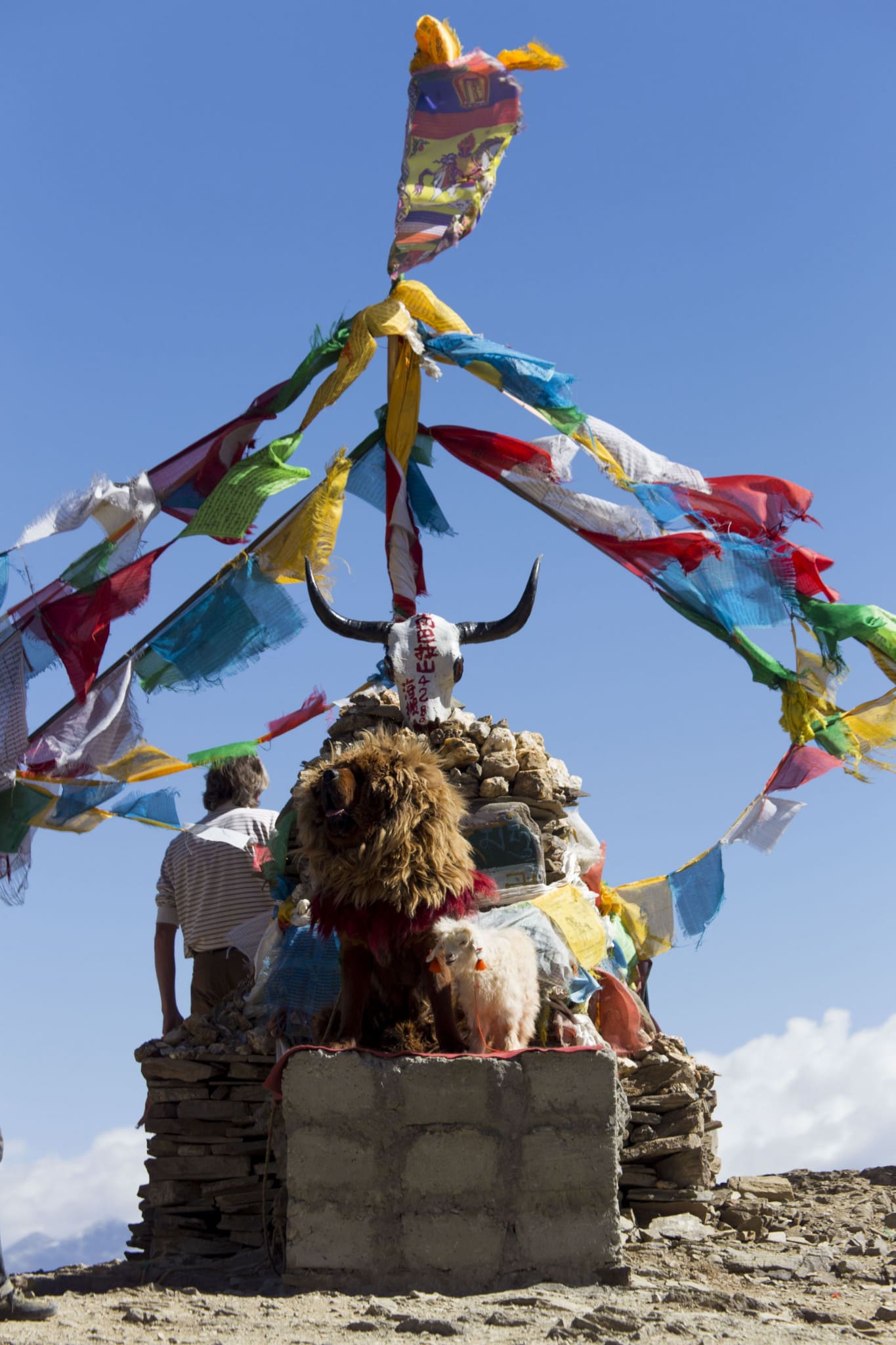 Yamdrok Lake tour from Lhasa and the Karola Glacier and Samding