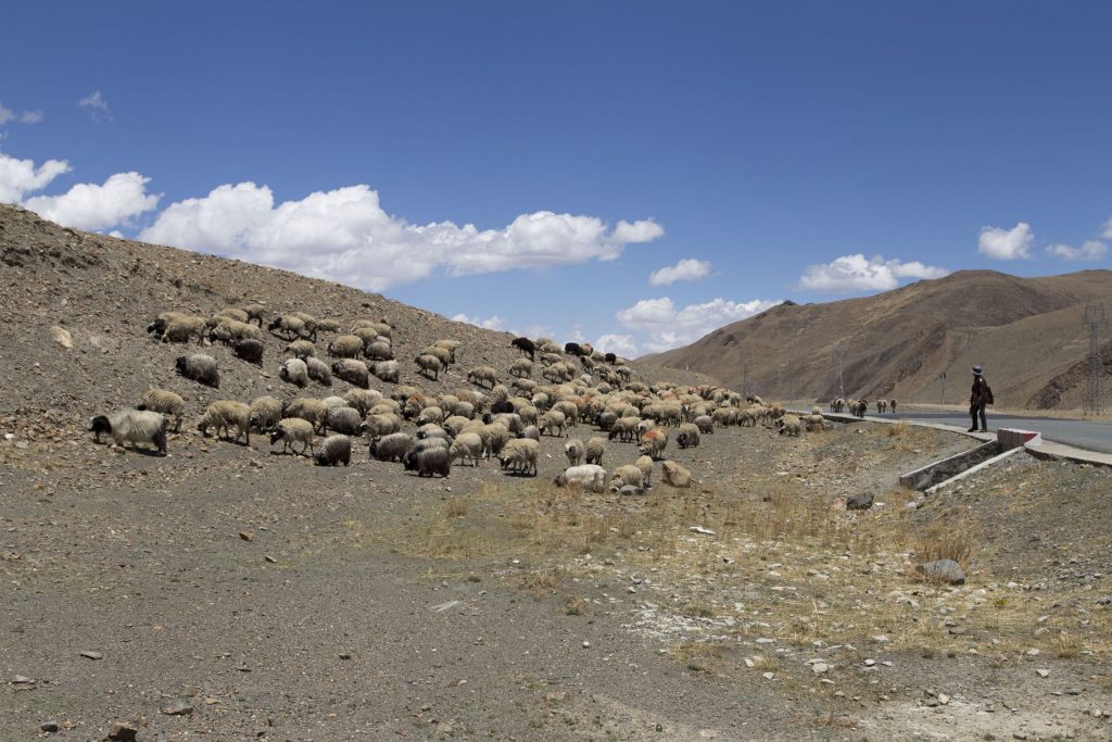 TIBET - Yamdrok Lake tour from Lhasa and the Karola Glacier and Samding Monastery