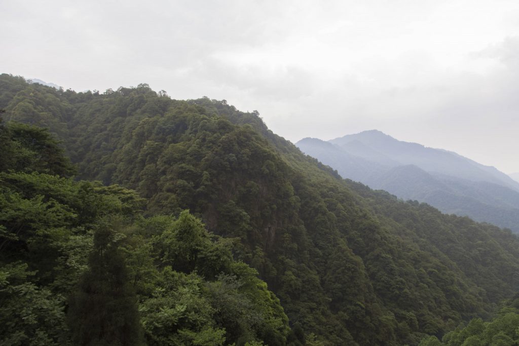CHINA - Two days at Qingcheng mountain & Dujiangyan irrigation system