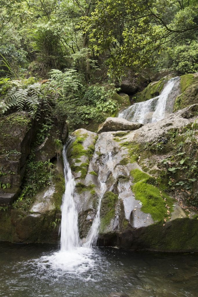 CHINA - Two days at Qingcheng mountain & Dujiangyan irrigation system