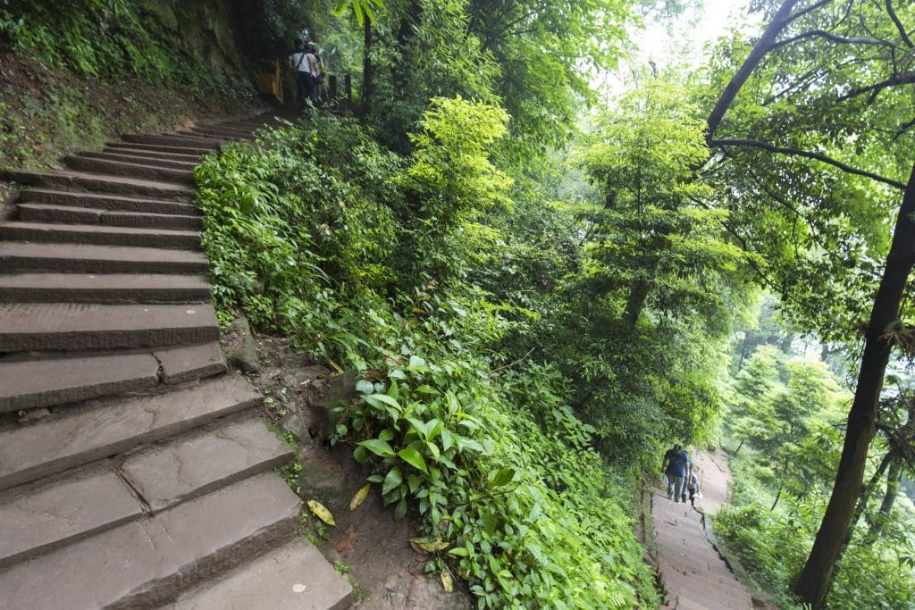 CHINA - Two days at Qingcheng mountain & Dujiangyan irrigation system