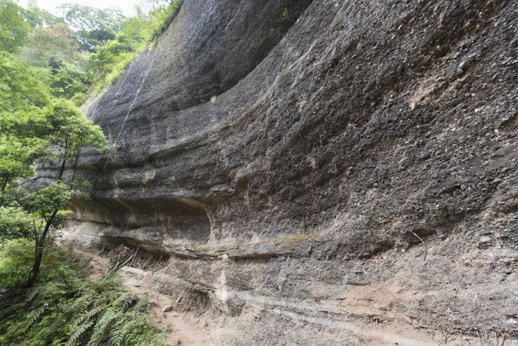 CHINA - Two days at Qingcheng mountain & Dujiangyan irrigation system