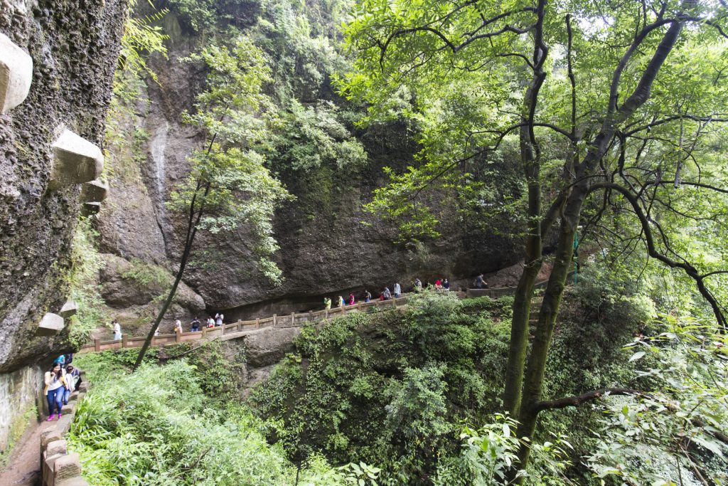 CHINA - Two days at Qingcheng mountain & Dujiangyan irrigation system