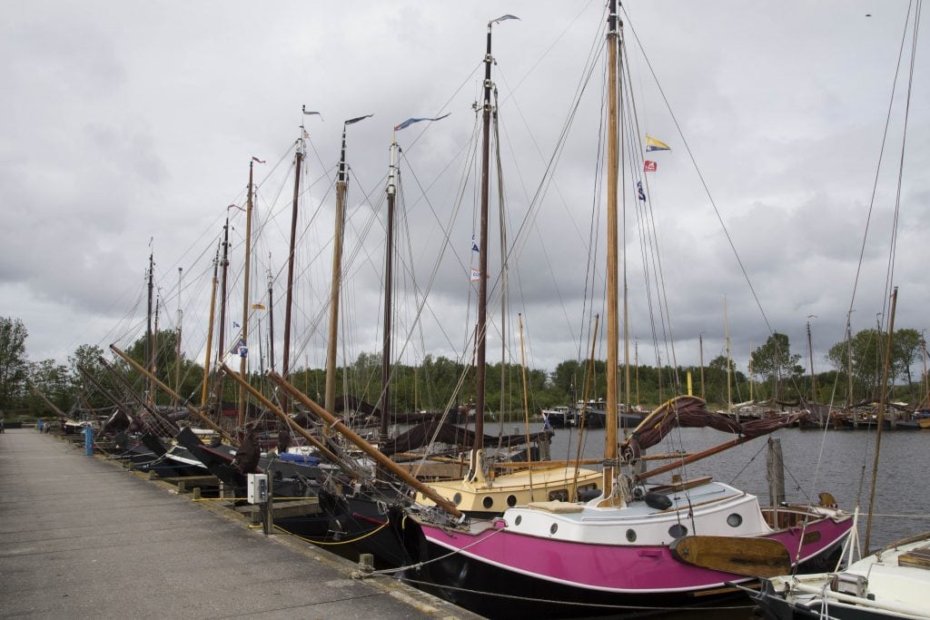 NETHERLANDS - Beautiful nature at Lauwersmeer & the Pieterpad walking trail