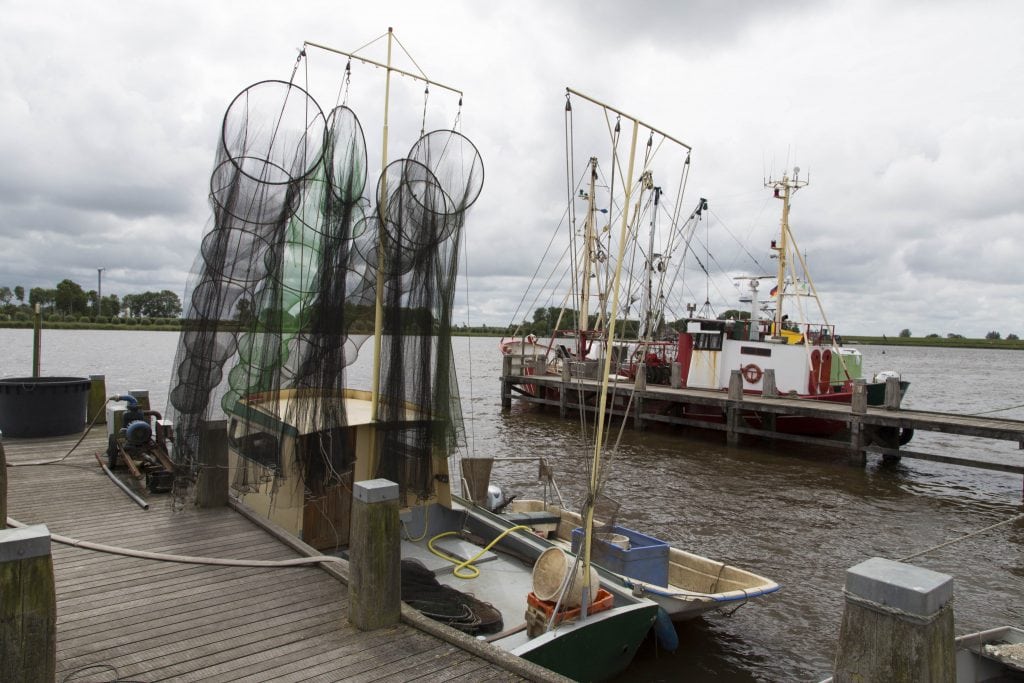 NETHERLANDS - Beautiful nature at Lauwersmeer & the Pieterpad walking trail